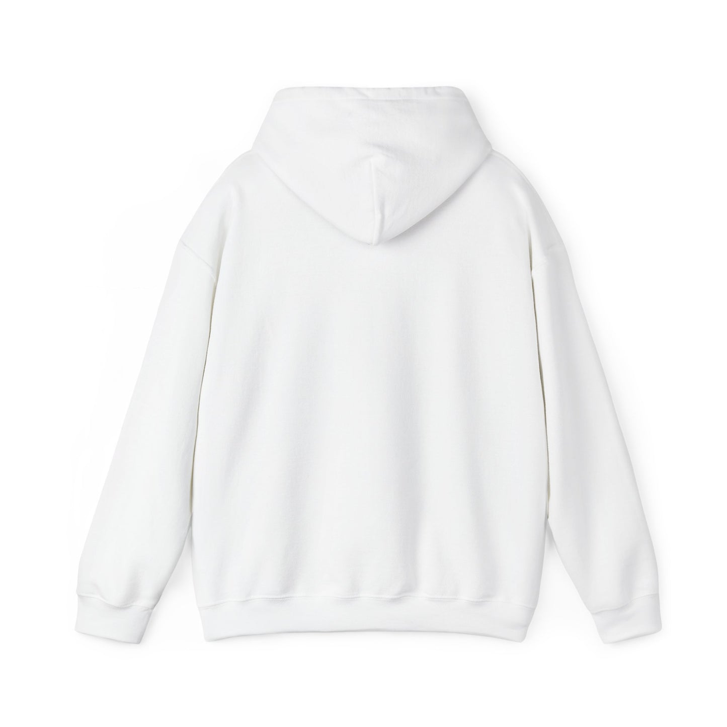 God's Promise Rainbow Unisex Hooded Sweatshirt