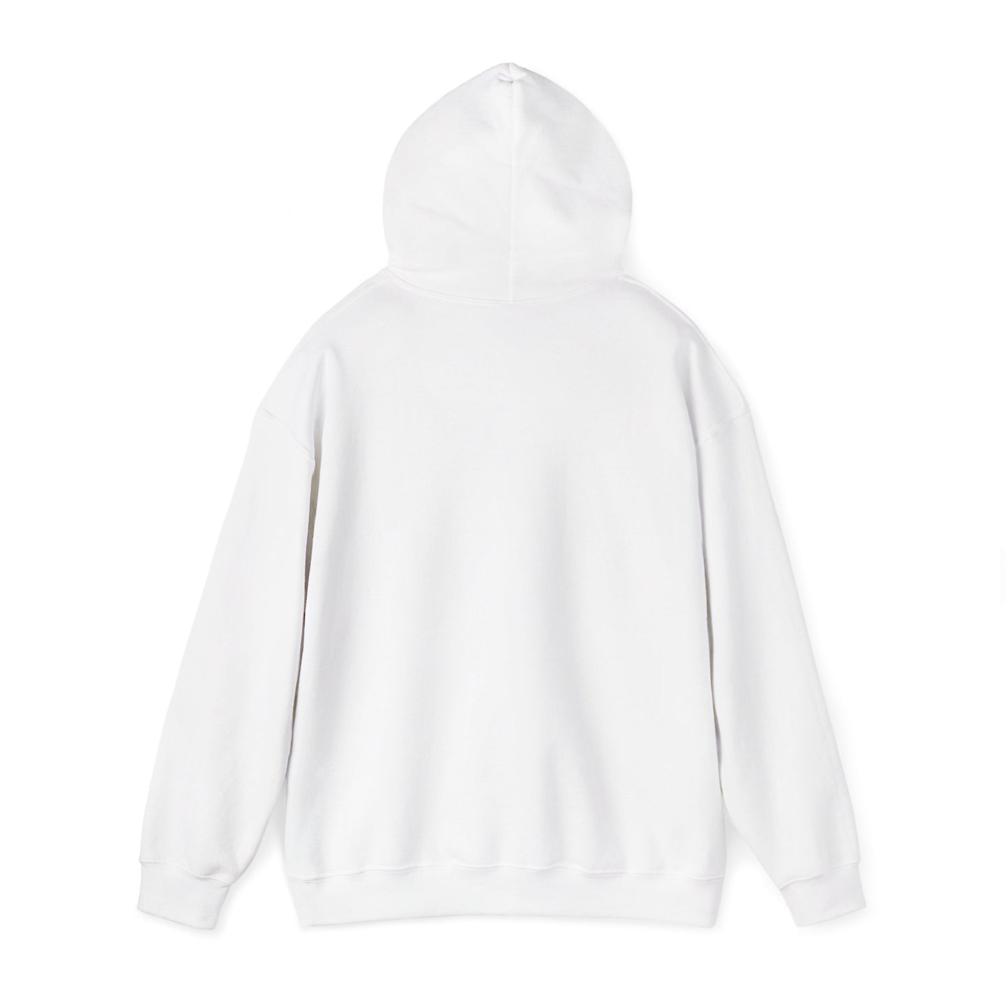 God's Promise Rainbow Unisex Hooded Sweatshirt